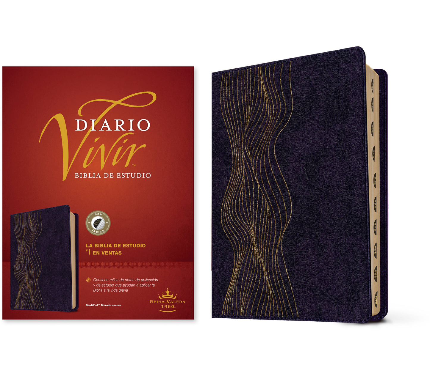 Biblia de estudio del diario vivir RVR60 (SentiPiel, Morado oscuro, Índice, Letra Roja)