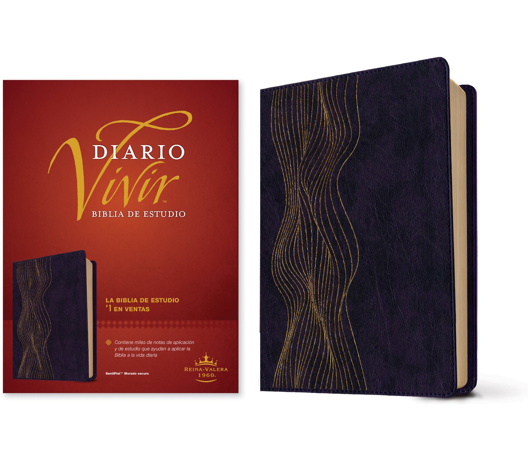 Biblia de estudio del diario vivir RVR60 (SentiPiel, Morado oscuro, Letra Roja)